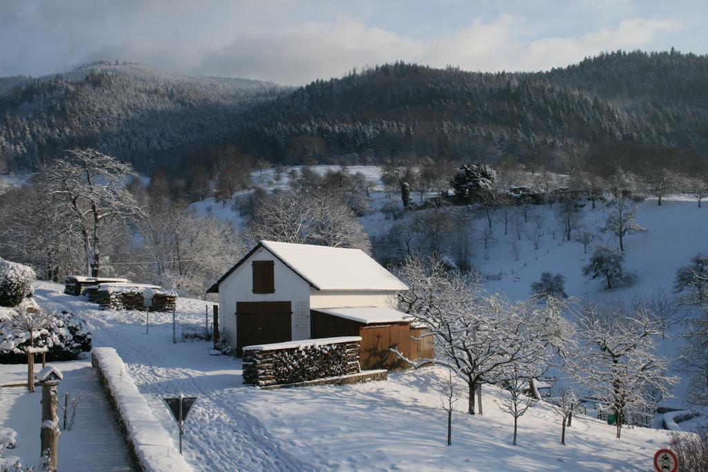 Bella Natura Loffenau Exterior foto